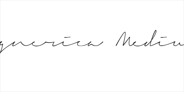 Signerica Medium Logo