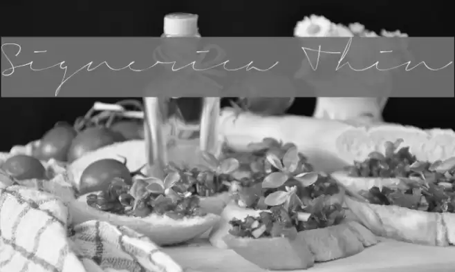 Signerica Thin Font examples