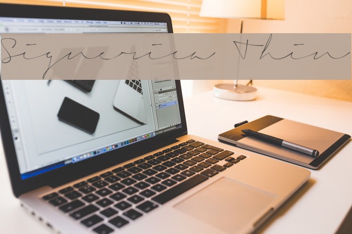 Signerica Thin Font examples