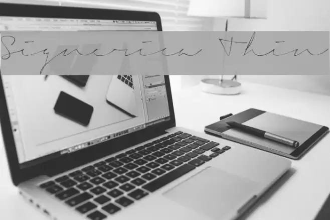 Signerica Thin Font examples