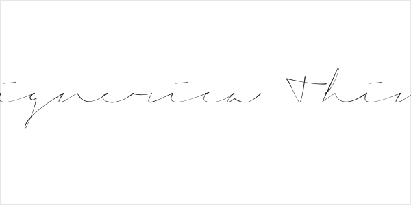 Signerica Thin Logo