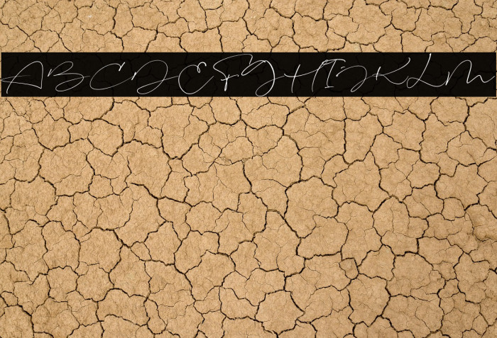 Signeritta Example 2