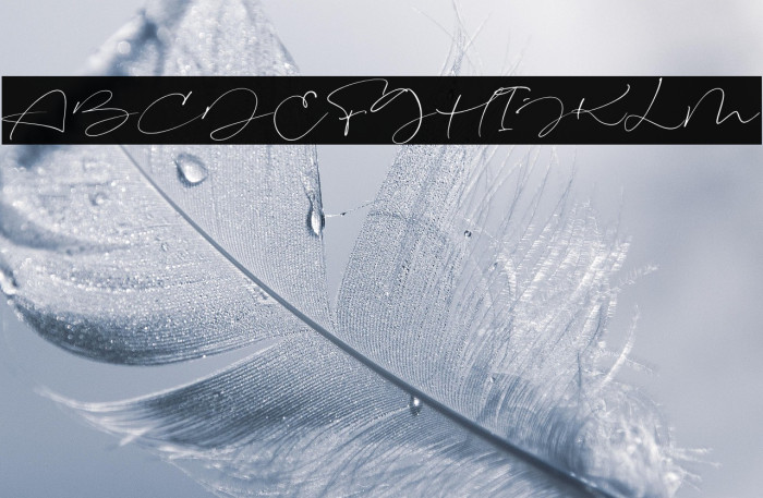 Signeritta Example 3