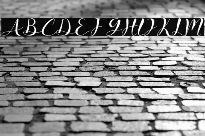 Signfly Font examples