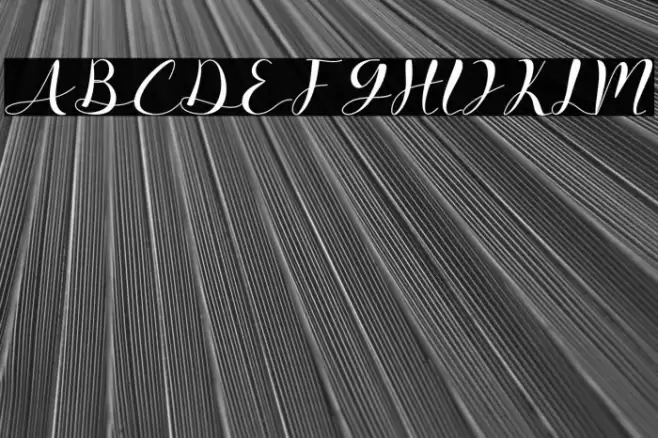 Signfly Font examples