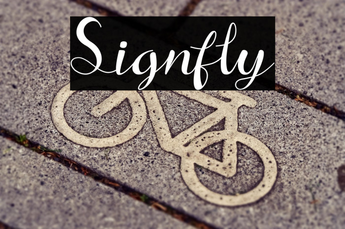 Signfly Example 2
