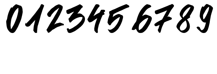 Signgual Regular Font OTHER CHARS