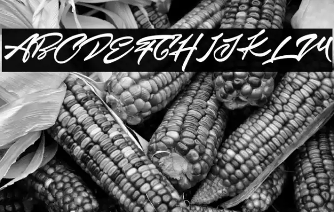 Significent Font examples