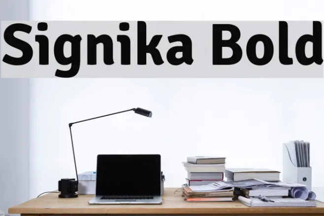 Signika Bold Example 2