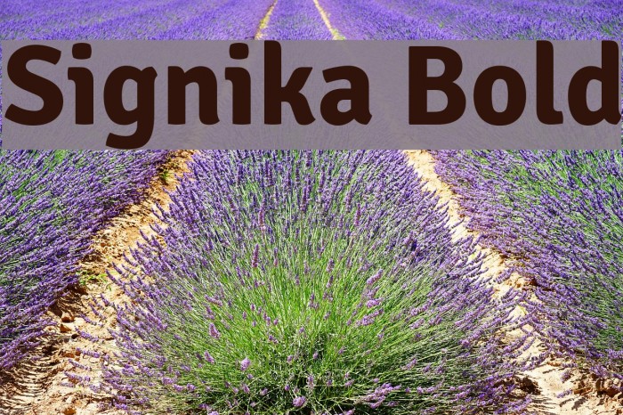 Signika Bold Font examples