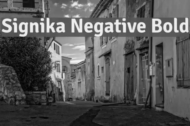 Signika Negative Bold Font examples