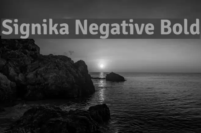 Signika Negative Bold Font examples