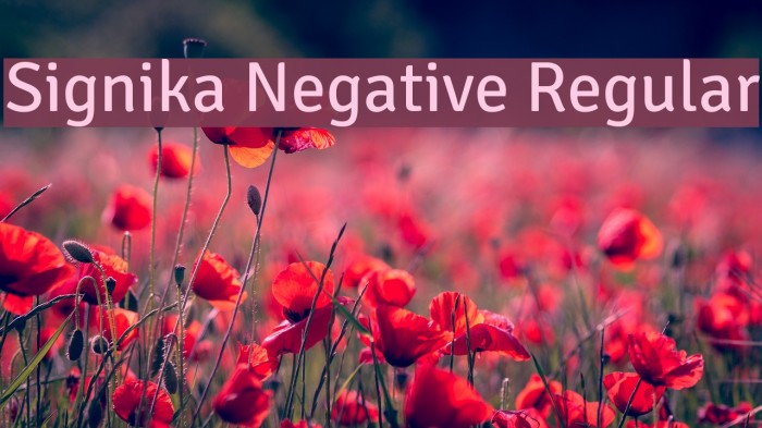 Signika Negative Regular Font examples