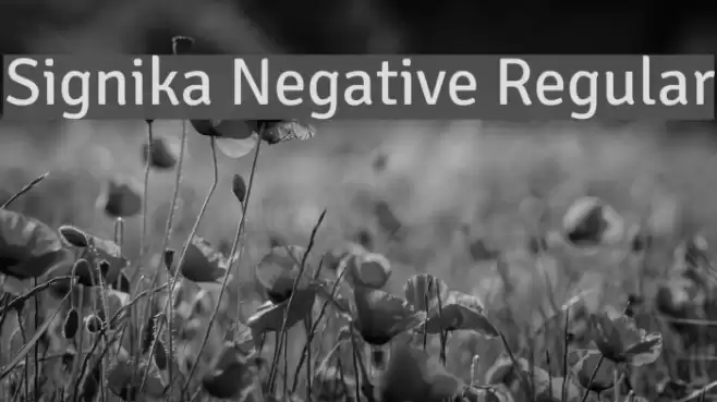 Signika Negative Regular फ़ॉन्ट examples