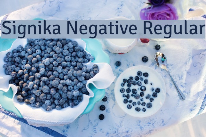 Signika Negative Regular Font examples