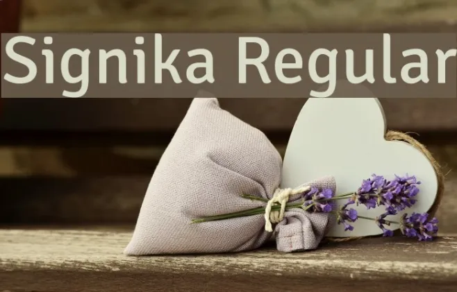 Signika Regular Example 1