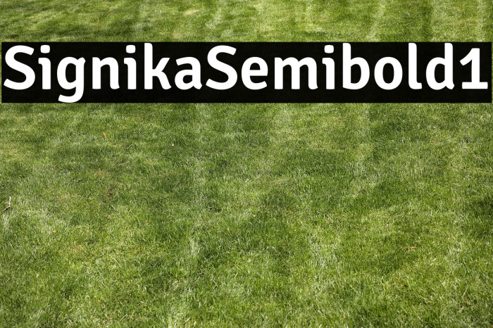 Signika-Semibold1 Example 2