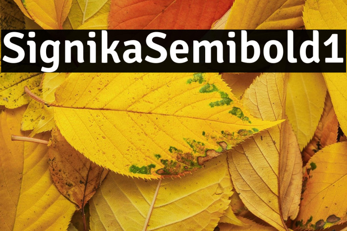 Signika-Semibold1 Example 3