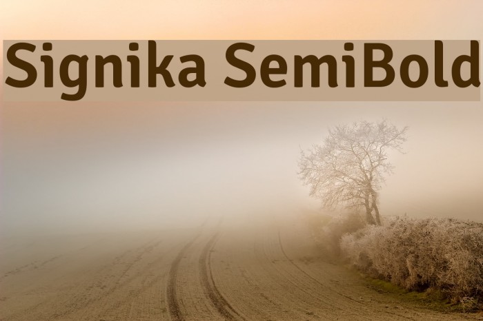 Signika SemiBold Example 1