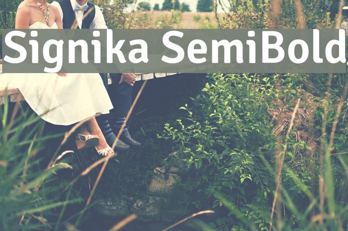 Signika SemiBold Example 3