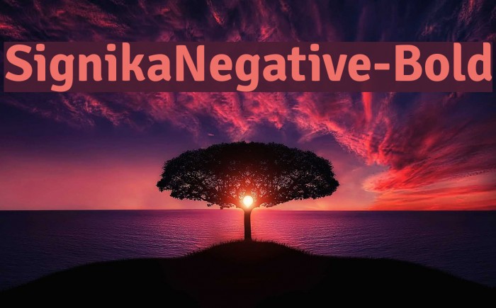 SignikaNegative-Bold Font examples