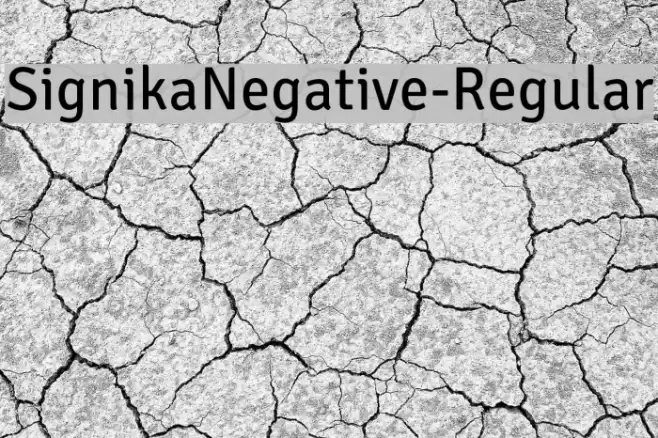 SignikaNegative-Regular Font examples