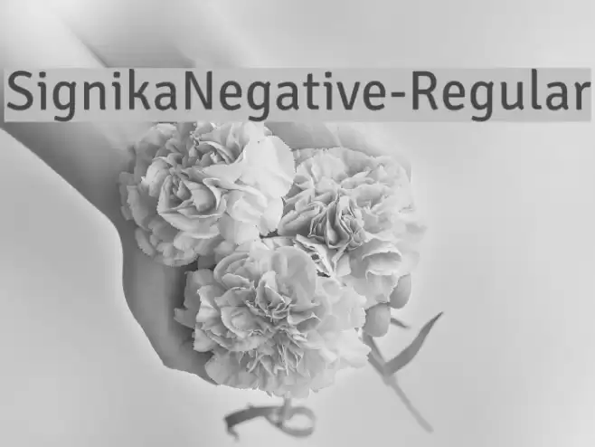SignikaNegative-Regular Font examples