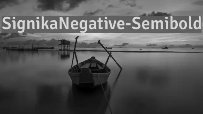 SignikaNegative-Semibold Font examples