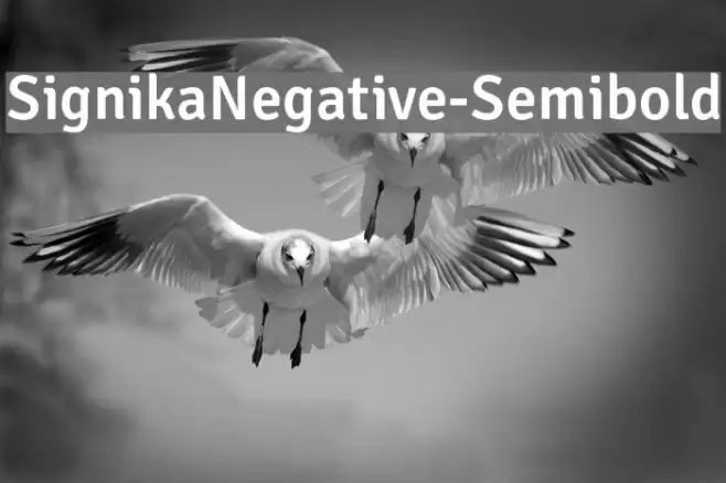 SignikaNegative-Semibold Font examples