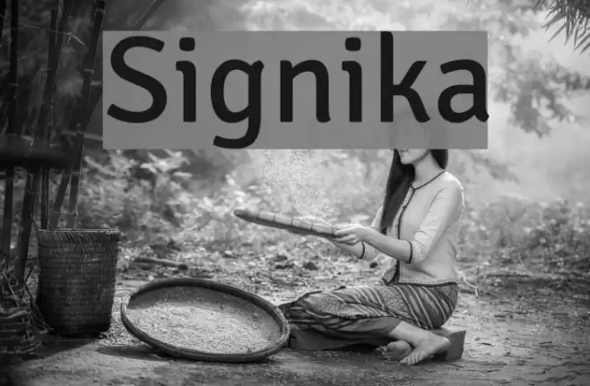 Signika Font examples
