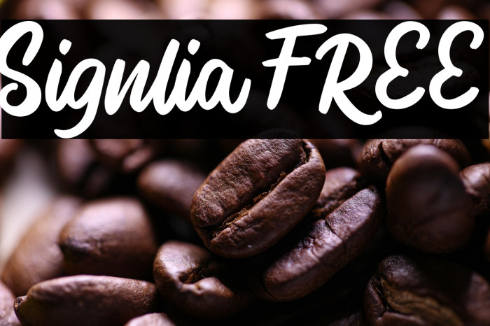 Signlia FREE Example 1