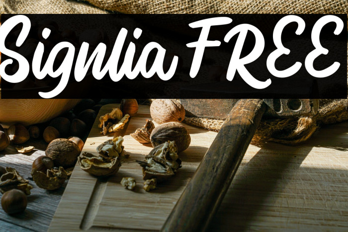 Signlia FREE Example 3