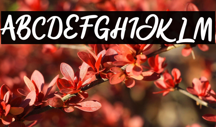 SignliaFREE Example 2