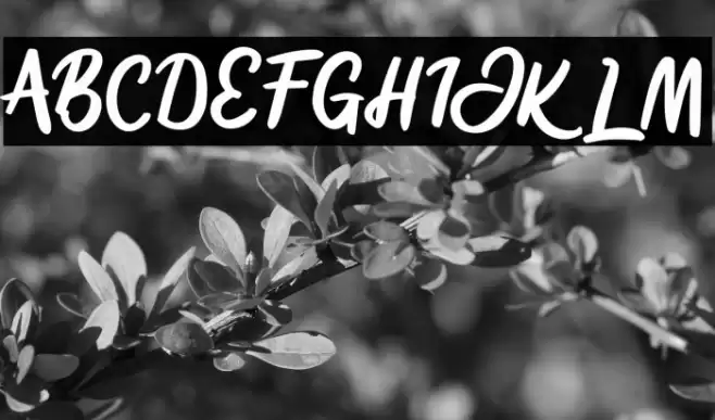 SignliaFREE Font examples