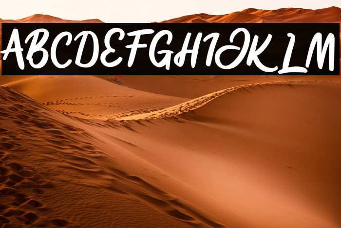 SignliaFREE Example 3