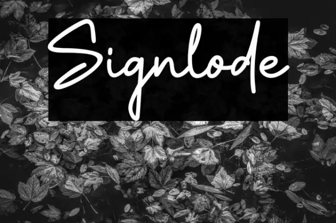 Signlode Fuentes examples