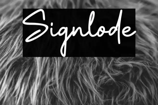 Signlode Fuentes examples