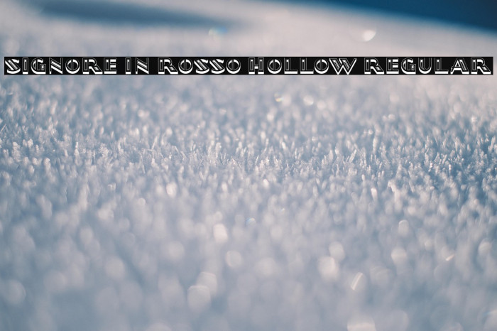 Signore in Rosso Hollow Regular Example 3