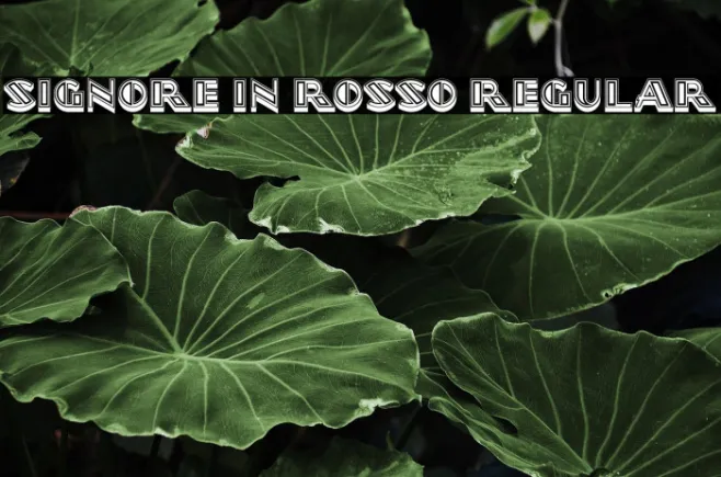 Signore in Rosso Regular Example 1
