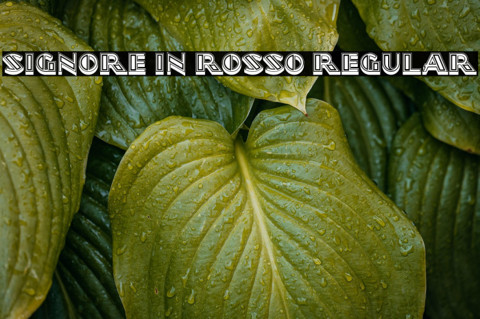 Signore in Rosso Regular Example 2