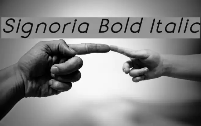 Signoria Bold Italic Font examples