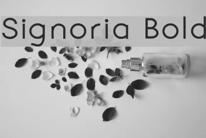 Signoria Bold Font examples
