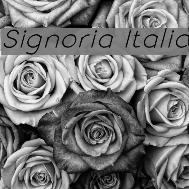 Signoria Italic Font examples