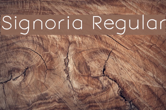 Signoria Regular Font examples