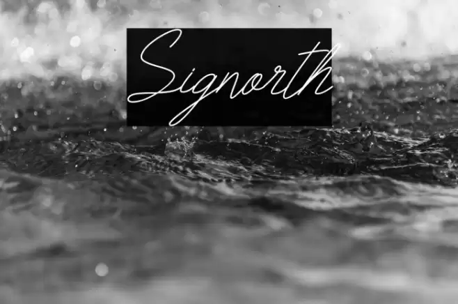 Signorth Font examples