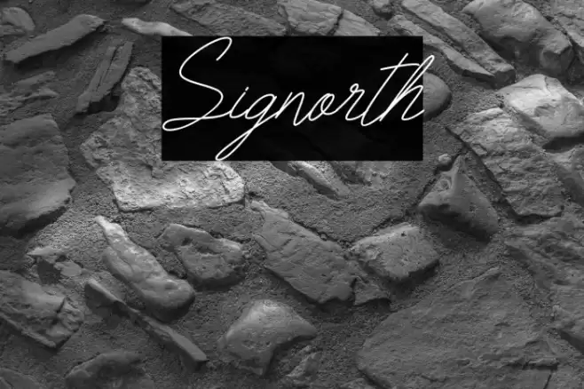 Signorth Font examples