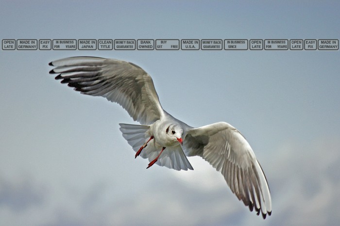 SignsforAdvertising Example 1