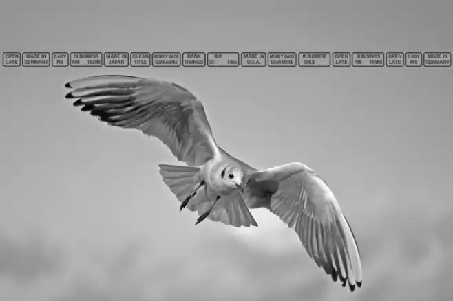 SignsforAdvertising Font examples