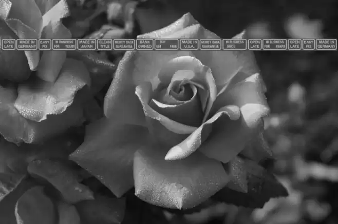 SignsforAdvertising Font examples