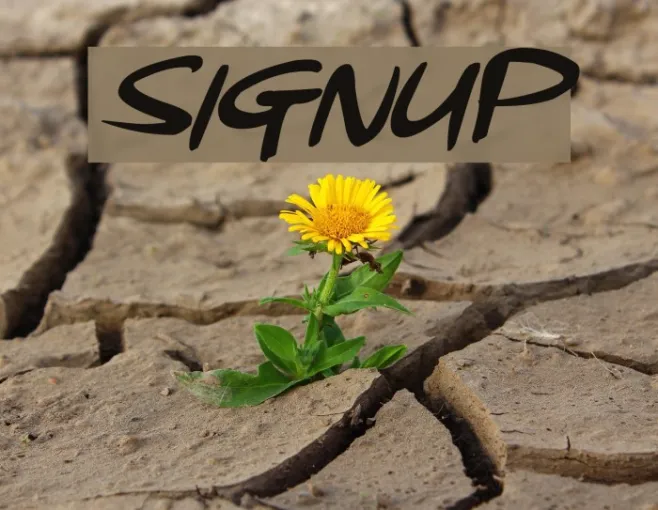 Signup Example 3